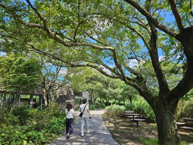 Jeju Island: Highlights Tour With Attraction Tickets & Lunch - Important Travel Considerations