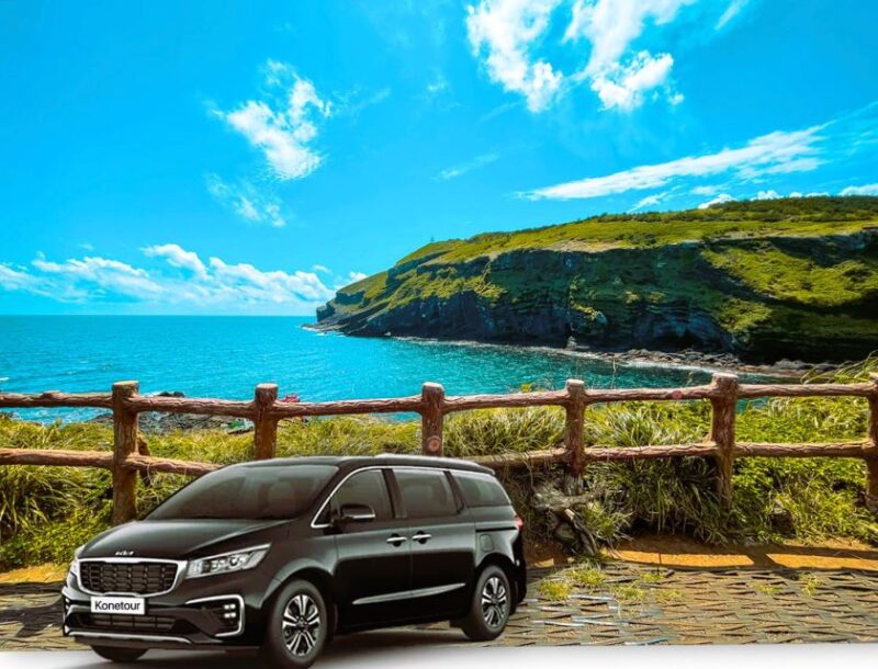 Jeju Island: Private Car Charter Tour - Comfortable Private Tour Experience
