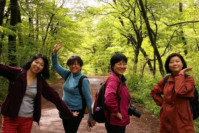 Jeju Island Private Half Day Transport : South / West - Tour Conditions and Recommendations