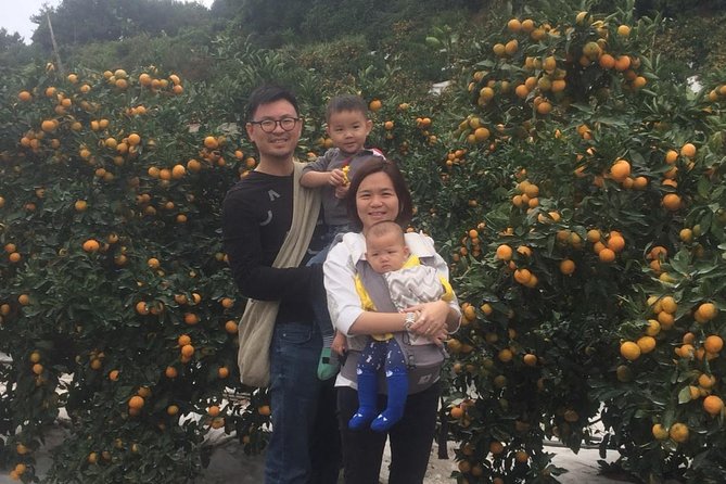 Jeju Island Private Taxi Tour : 2 Full Days - Pricing Information