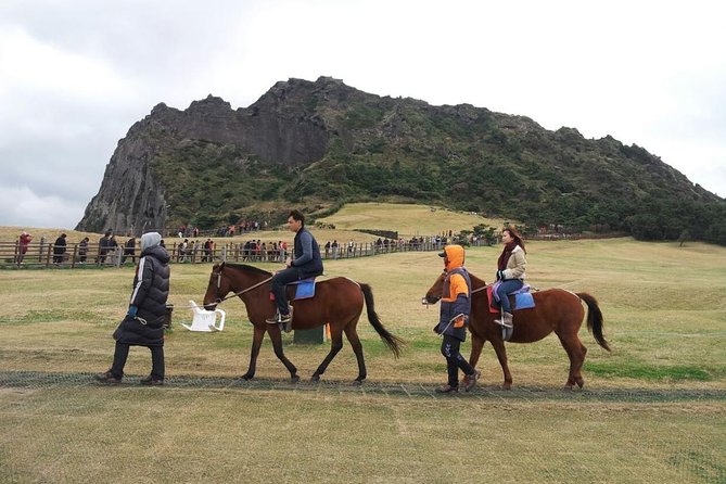 Jeju Island Private Taxi Tour : 2 Full Days - Restrictions and Limitations