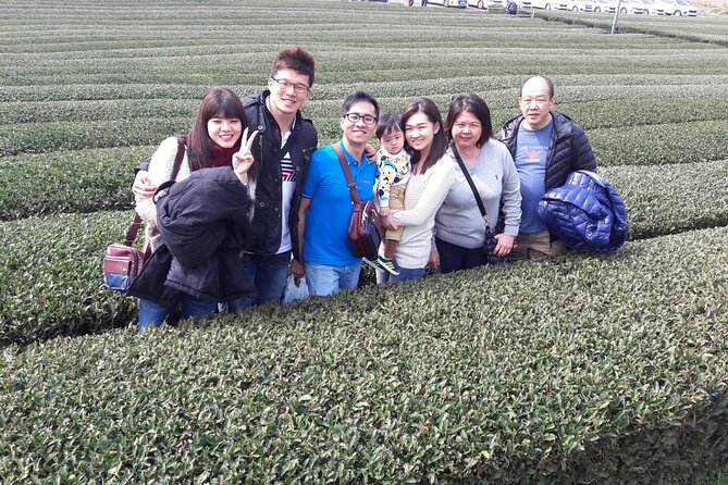Jeju Island Private Taxi Tour in O'sulloc & Innisfree & Iho Beach - Osulloc Tea Museum