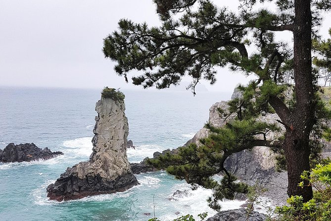 Jeju Island South UNESCO Day Tour With Lunch Included - Meeting and Pickup Details
