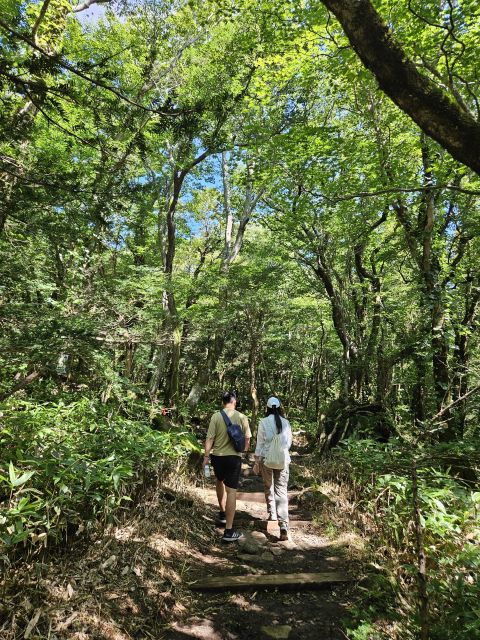Jeju Island Southern UNESCO Day Tour With Lunch Included. - Hallasan Mountain