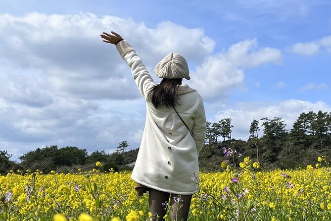 Jeju Island Southern Unesco Mt.Halla ONE Day Bus Tour - Jeju Island Highlights