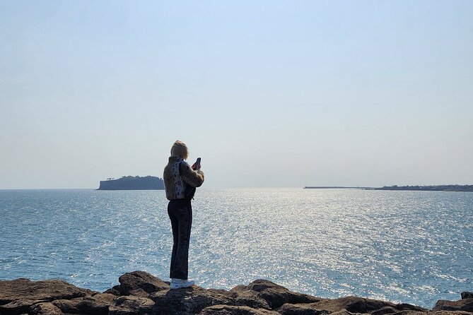 Jeju Island Southern Unesco Mt.Halla ONE Day Bus Tour - Customer Feedback and Insights