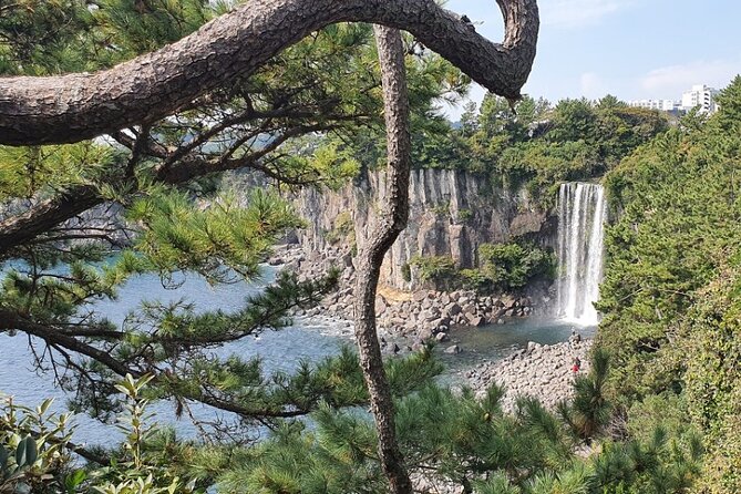 Jeju Island Taxi Join Tour - Tour Routes and Attractions