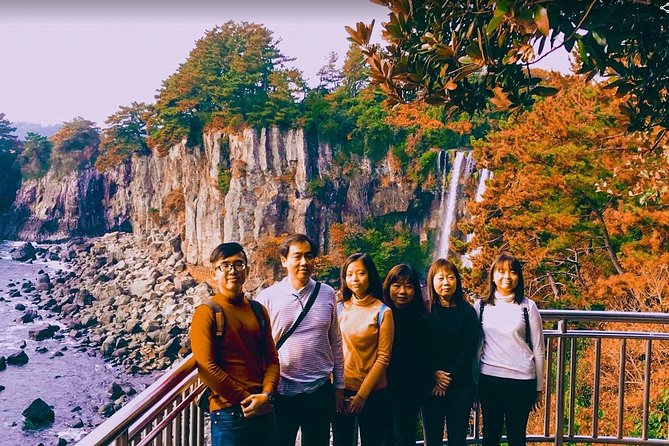 Jeju Island Taxi Tour : South Day Tour - Transportation and Costs