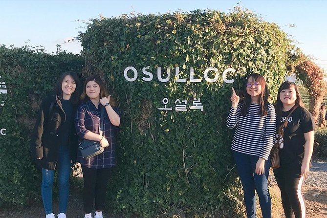 Jeju Island Taxi Tour : South Day Tour - Jeongbang Waterfall