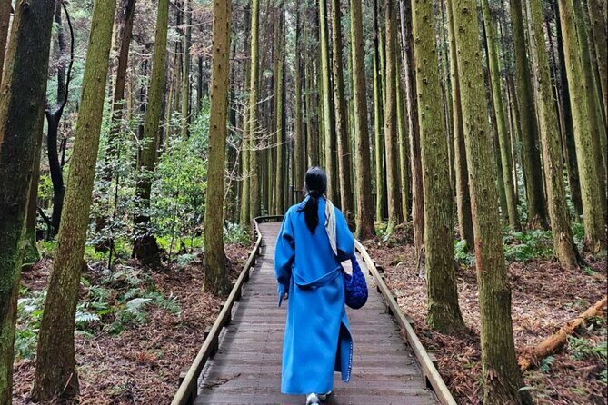 Jeju Island UNESCO Heritage Bus Tour - Who Will Love This Tour?