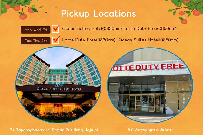Jeju Island UNESCO Heritage Bus Tour - Tour Accessibility and Suitability