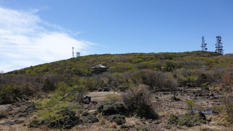 Jeju: Mt. Hallasan Hike and UNESCO Sites Day Tour - Cheonjiyeon Falls Admiration