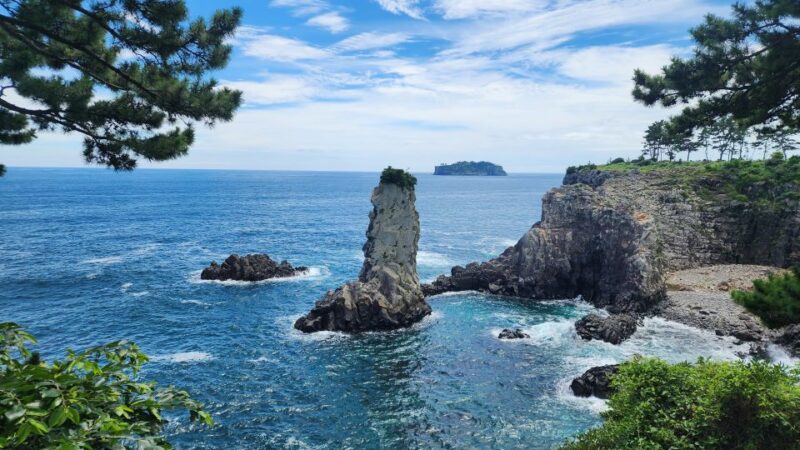 Jeju: Mt. Hallasan Hike and UNESCO Sites Day Tour - Seogwi Dawon Tea Tasting