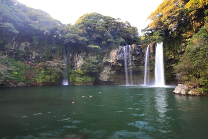 Jeju: Mt. Hallasan Hike and UNESCO Sites Day Tour - Frequently Asked Questions