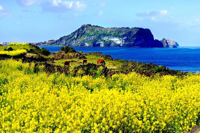 Jeju Premium Small Group UNESCO Day Tour - East Course - Tour Inclusions