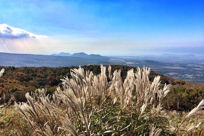 Jeju Premium Small Group UNESCO Day Tour - South Course - Pickup and Start Time