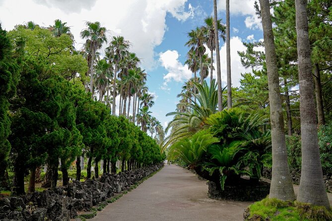 Jeju Premium Small Group UNESCO Day Tour - West Course - Cancellation Policy