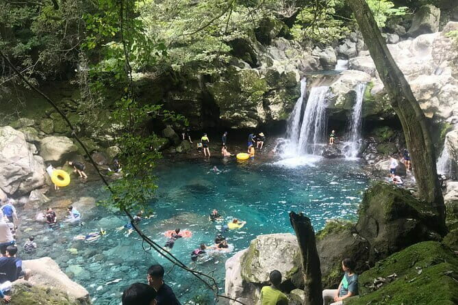 Jeju Private Half-Day Tour for Cruise Customers - Who Will Love This Tour?