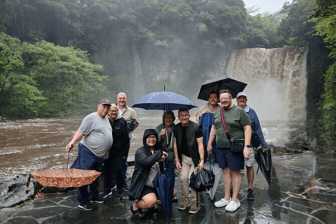 Jeju Private Taxi Tour with a Licensed English Guide-Driver - The Experience in Detail