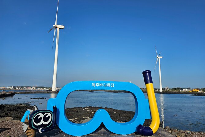 Jeju Private Tour Package -West of Jeju (Handam & Yongmeri Coast) - Driver Information
