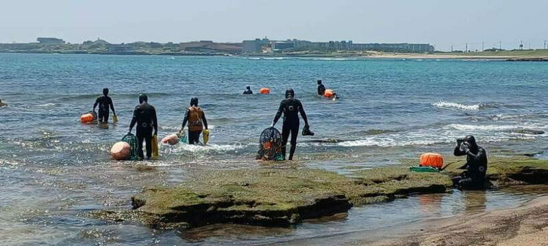Jeju: Private Tour with an English Guide and a Vehicle - Key Points