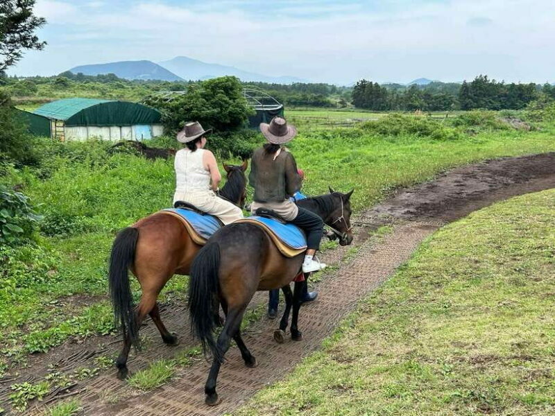 Jeju: Private Tour with an English Guide and a Vehicle - FAQs