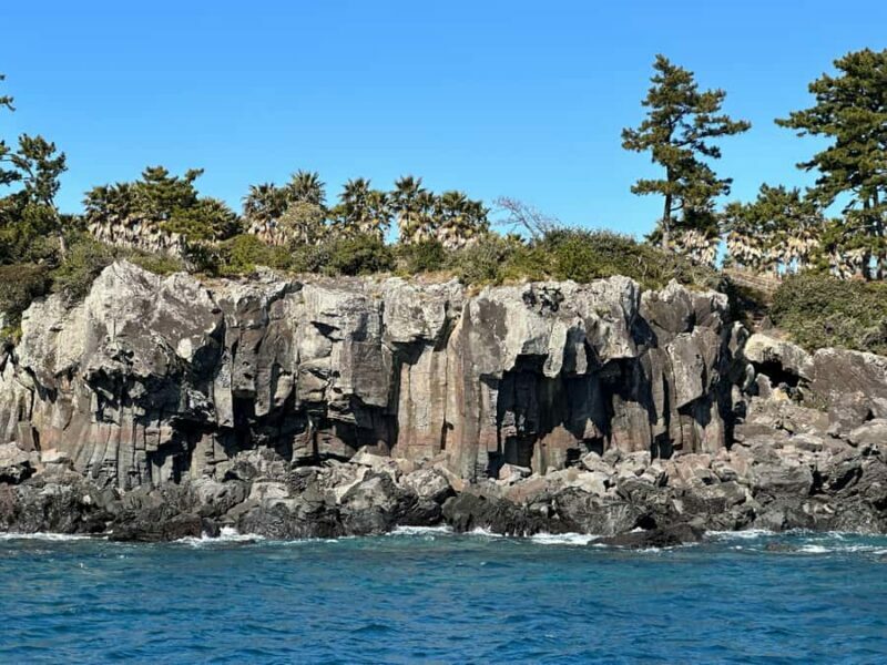 Jeju Small Group Tour incl. Yacht Cruise, Falls & Mt.Halla - An In-Depth Look at the Tour Experience