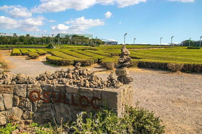 Jeju Southern UNESCO Full Day Tour with Mt.Halla - What the Reviews Say