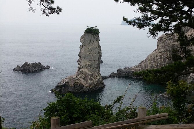 JEJU TAXI TOUR - East of JEJU ( Included Drop-Off JEJU Airport ) - Vehicle Options and Costs