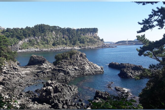 JEJU TAXI TOUR - East of JEJU ( Included Drop-Off JEJU Airport ) - Driver Information