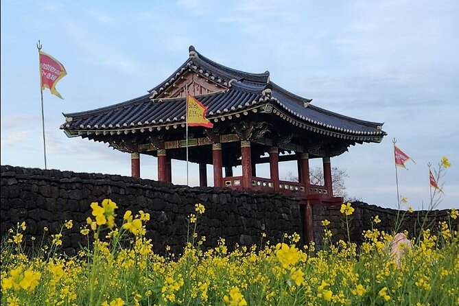 Jeju Taxi Tour KJ With Flexible Scheduling - Itinerary Customization