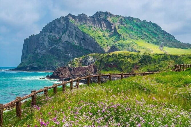 Jeju Unesco Eest course Package Private Van Guided Tour - The Sum Up: Who Will Love This Tour?