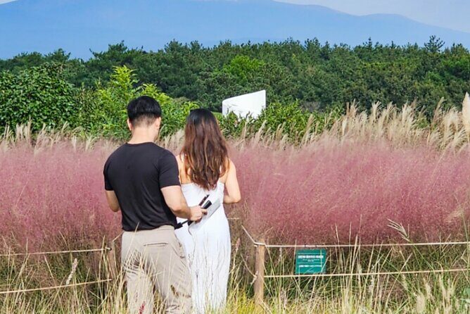 Jeju: UNESCO-Listed Southern Authentic Day Tour - Key Points