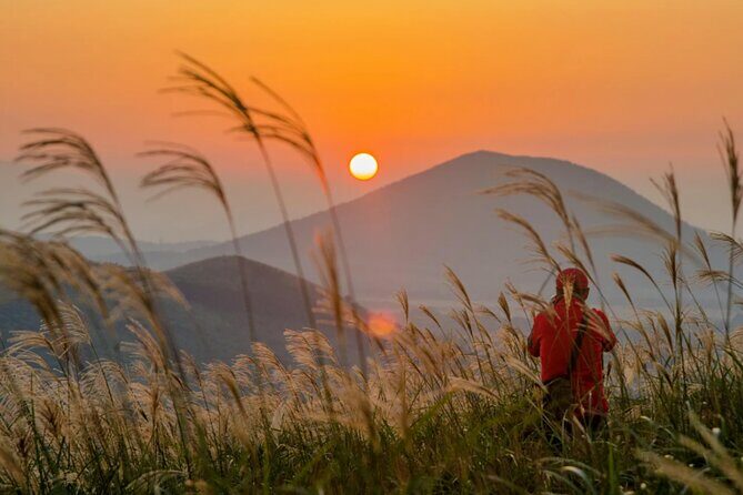 Jeju: UNESCO-Listed Southern Authentic Day Tour - Final Thoughts