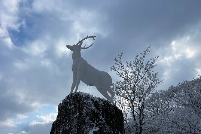 Jeju WEST&SOUTH One Day Tour with MT.halla & UNESCO - Authentic Traveler Insights
