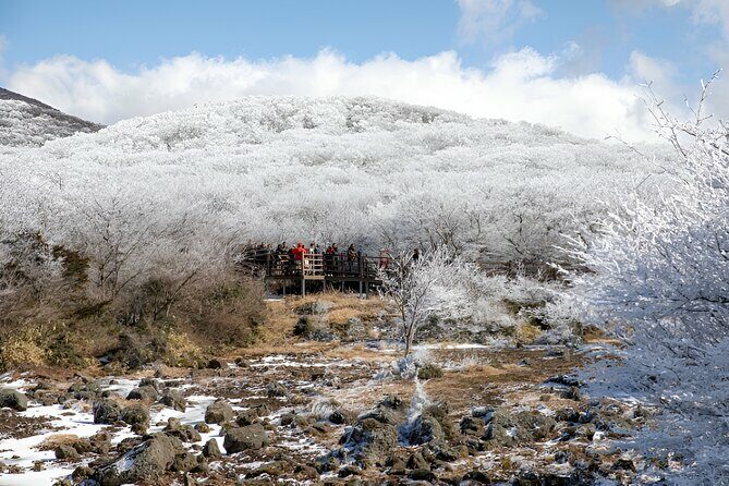 Jeju WEST&SOUTH One Day Tour with MT.halla & UNESCO - The Sum Up