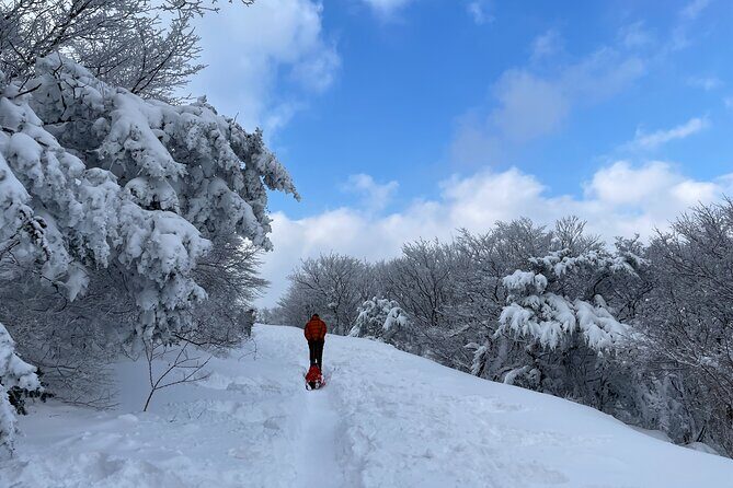 Jeju WEST&SOUTH One Day Tour with MT.halla & UNESCO - FAQs