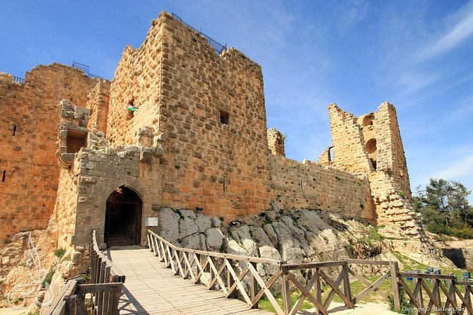 Jerash, Ajloun, Umm Qais Day Trip - Itinerary and Tour Details