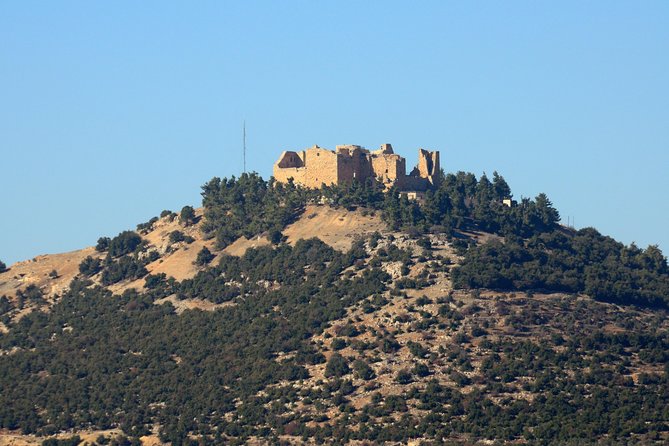 Jerash, Ajloun, Umm Qais Day Trip - Traveler Reviews and Ratings