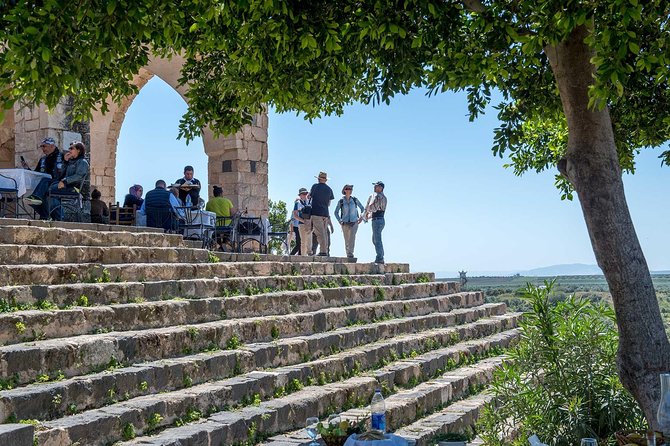Jerash, Ajloun & Umm Qais Private Tour - Inclusions and Recommendations