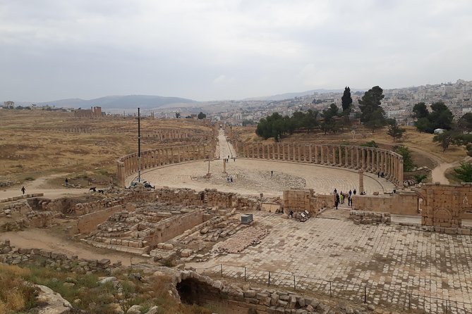 Jerash, Ajloun & Umm Qais Private Tour - Discover Ajloun Castle and Umm Qais