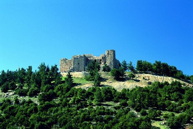 Jerash and Ajloun Castle Full Day Tour - Accessibility and Additional Information
