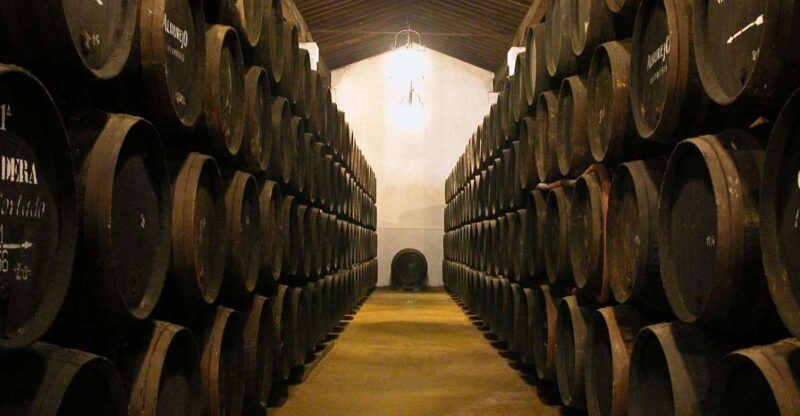 Jerez: Alvaro Domecq Winery Guided Tour With Wine Tasting - Wine Production Processes