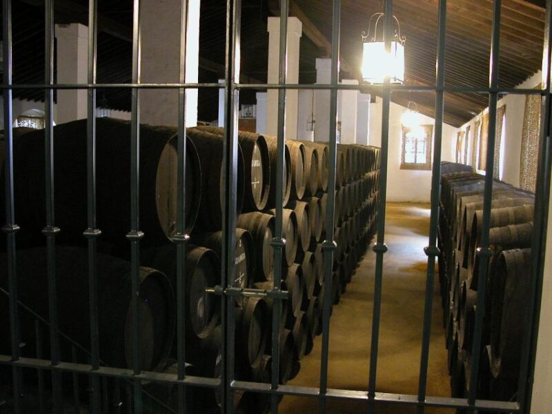 Jerez: Alvaro Domecq Winery Guided Tour With Wine Tasting - Customer Feedback
