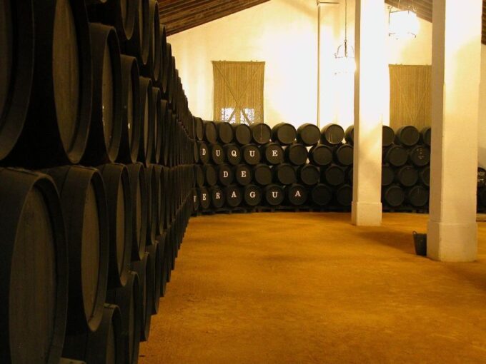 Jerez: Alvaro Domecq Winery Guided Tour With Wine Tasting - Exclusive Shopping