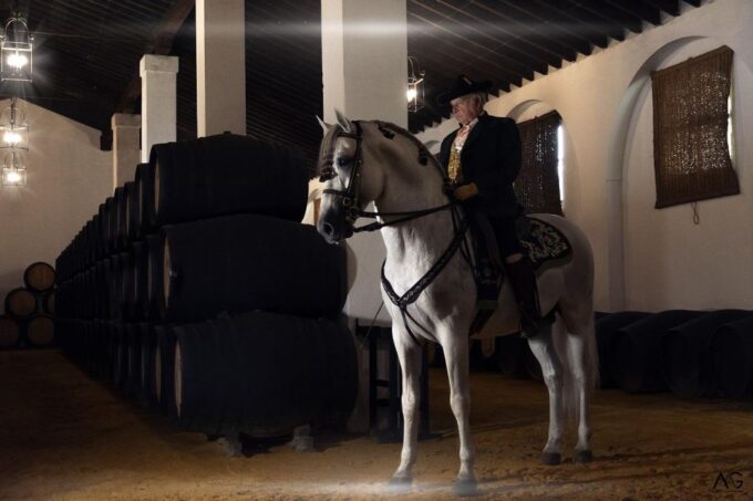 Jerez: Alvaro Domecq Winery Guided Tour With Wine Tasting - Frequently Asked Questions