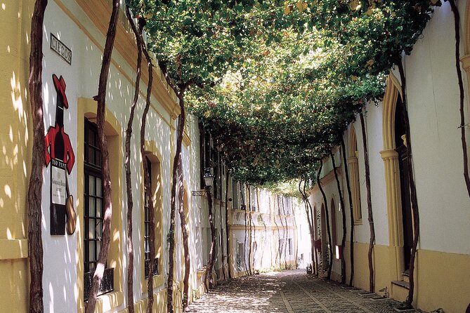 Jerez and Cadiz Tour From Seville - Tour Overview and Itinerary