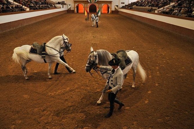 Jerez & Cadiz Winery With Tasting & Opt Horse Show From Seville - Equestrian Performance