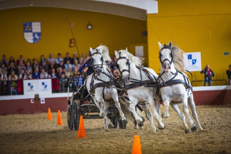 Jerez: Cartuja Stud Carthusian Horses Tour - Key Points