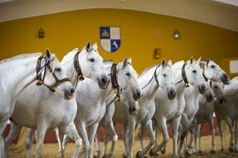 Jerez: Cartuja Stud Carthusian Horses Tour - Guided Tour Experience